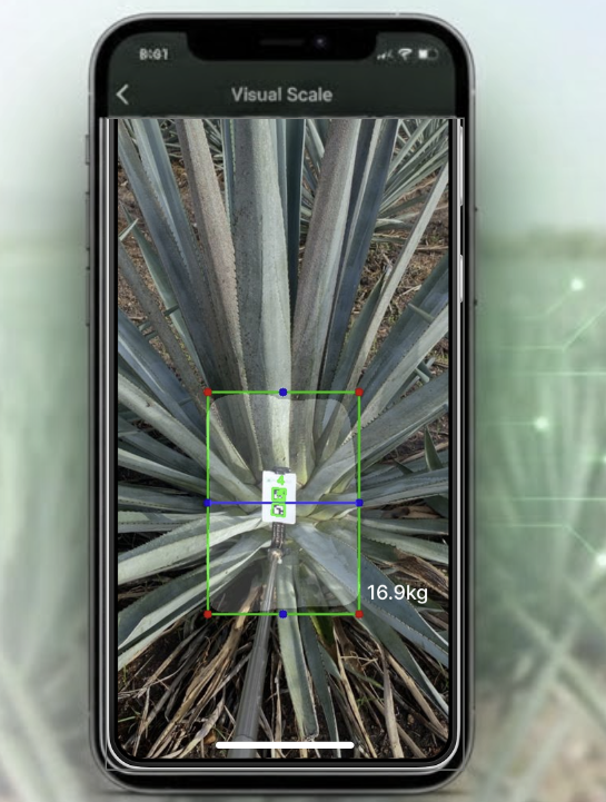 Visual inventory measurement